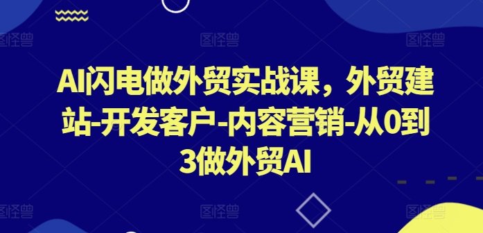 AI闪电做外贸实战课，​外贸建站-开发客户-内容营销-从0到3-xn--mkro2sf1o.com