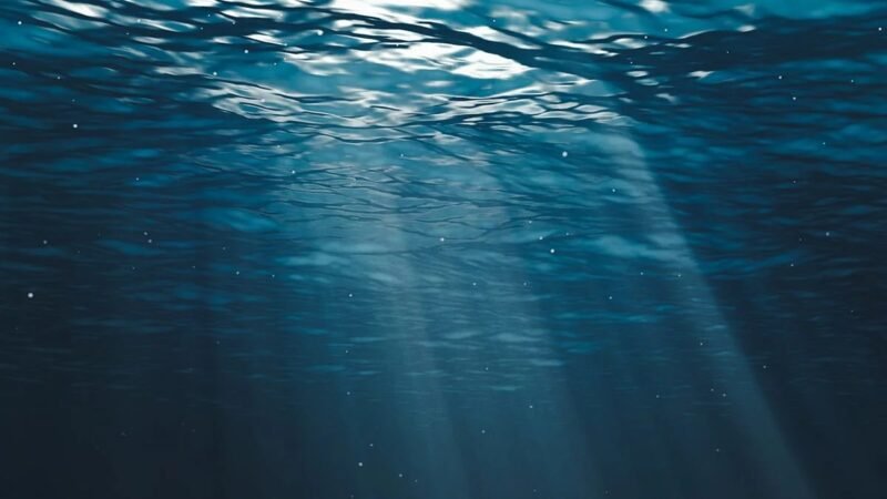 微塑料侵入深海热液喷口 92% 受检动物体内检出-xn--mkro2sf1o.com