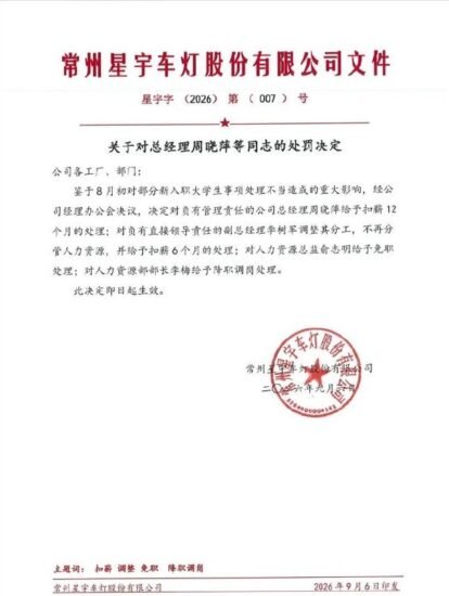 星宇股份处罚多名高管,总经理被扣薪 12 个月 - xn-mkro2sf1o.com-xn--mkro2sf1o.com